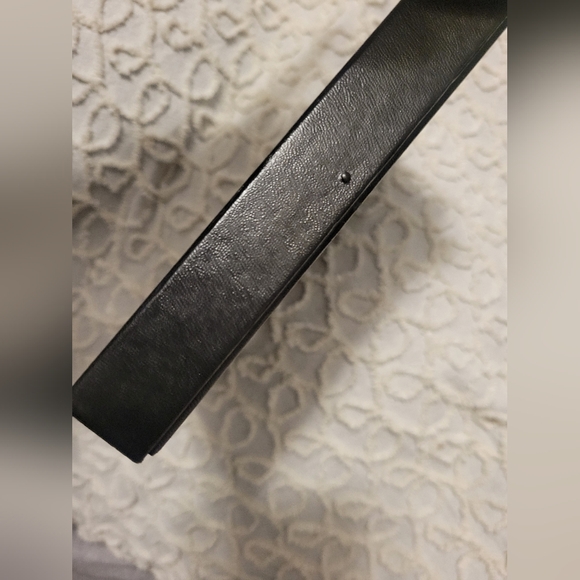 Dried Preserved Real Butterfly Moth Insects Oddity Earth Garden Natural - Picture 10 of 13